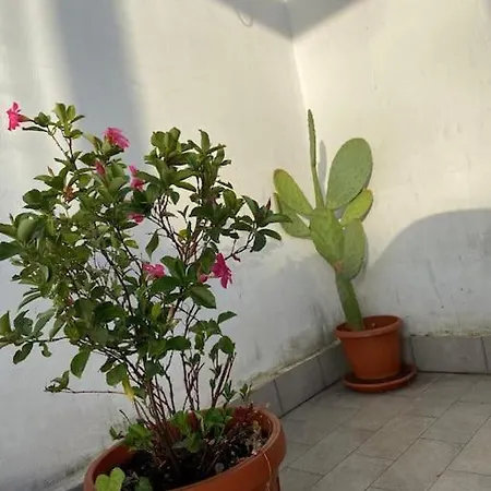 Apartment Piccolo Sogno Rome